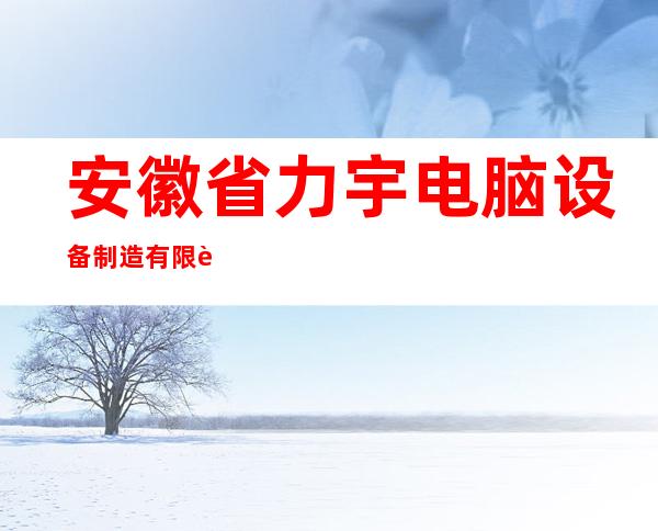 安徽省力宇电脑设备制造有限责任公司