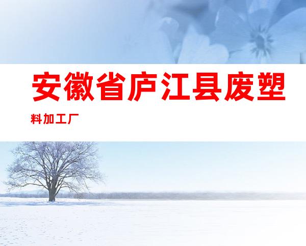 安徽省庐江县废塑料加工厂