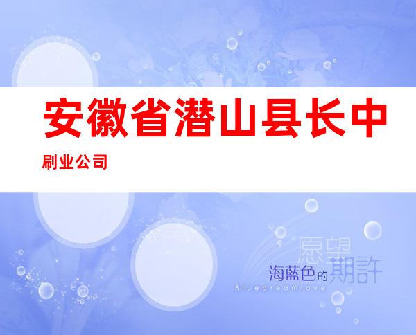 安徽省潜山县长中刷业公司
