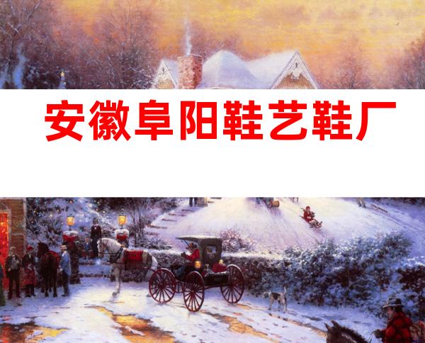 安徽阜阳鞋艺鞋厂
