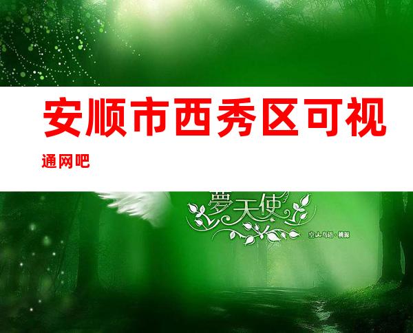 安顺市西秀区可视通网吧