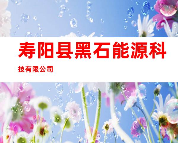 寿阳县黑石能源科技有限公司