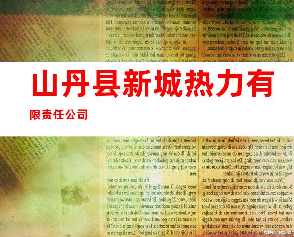 山丹县新城热力有限责任公司
