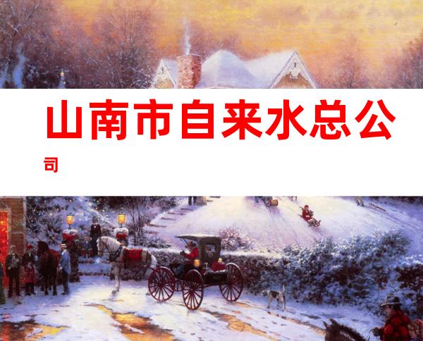 山南市自来水总公司