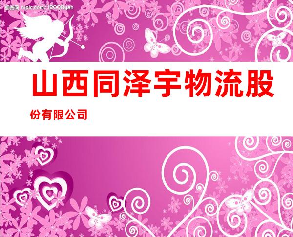 山西同泽宇物流股份有限公司