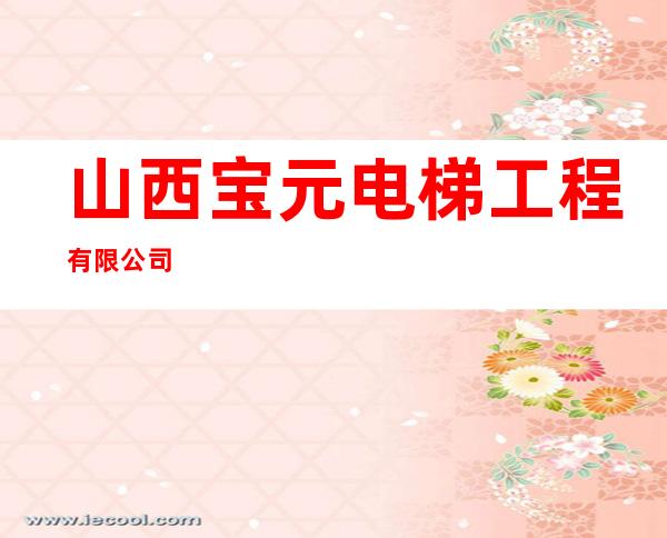 山西宝元电梯工程有限公司