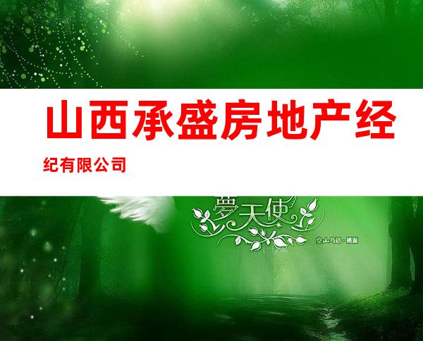 山西承盛房地产经纪有限公司