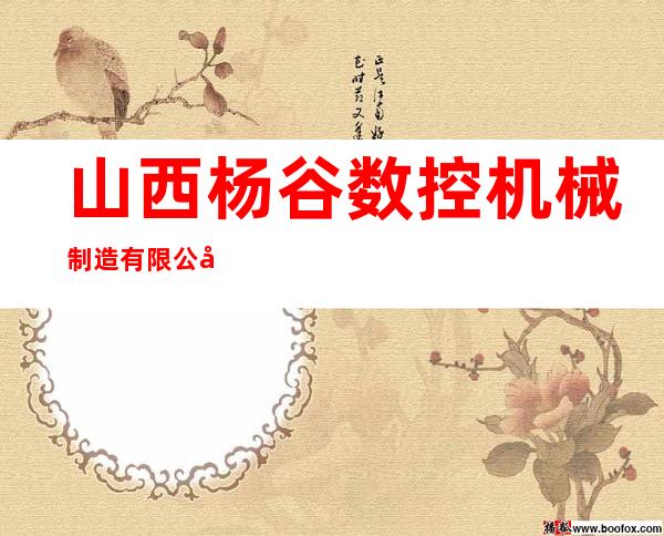 山西杨谷数控机械制造有限公司