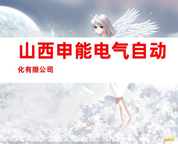 山西申能电气自动化有限公司
