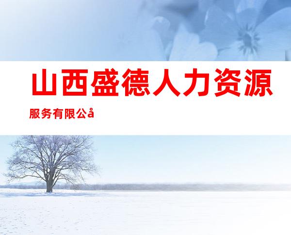 山西盛德人力资源服务有限公司