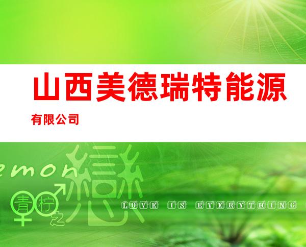 山西美德瑞特能源有限公司