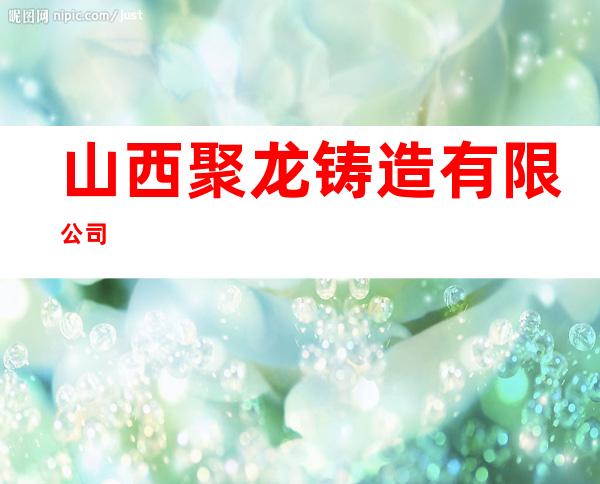 山西聚龙铸造有限公司