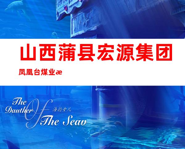 山西蒲县宏源集团凤凰台煤业有限公司