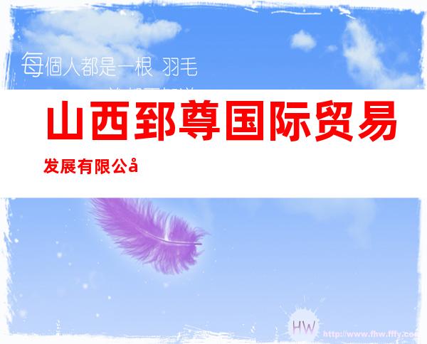 山西郅尊国际贸易发展有限公司