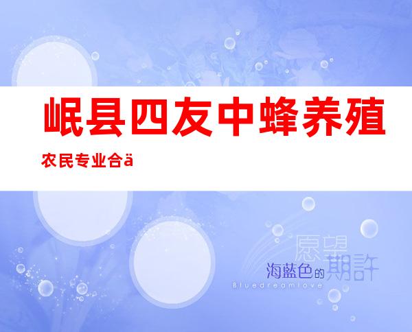 岷县四友中蜂养殖农民专业合作社