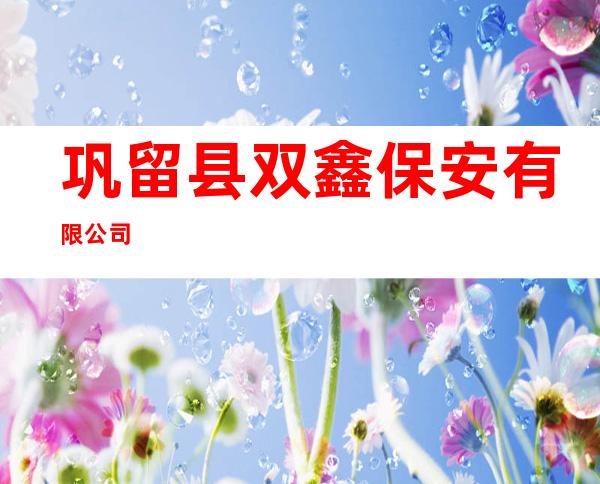 巩留县双鑫保安有限公司