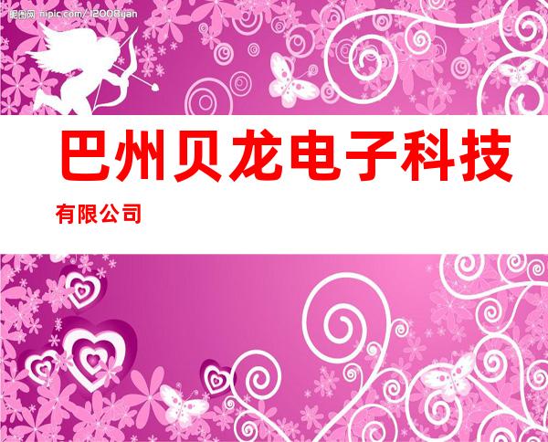 巴州贝龙电子科技有限公司