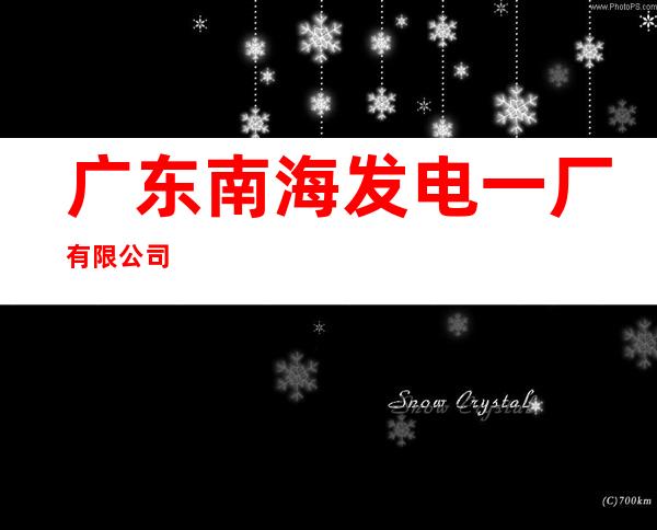 广东南海发电一厂有限公司