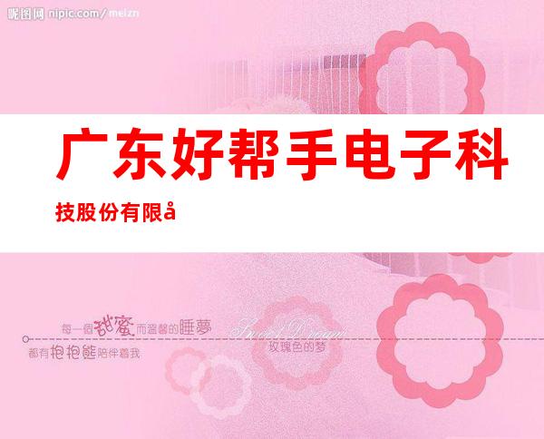 广东好帮手电子科技股份有限公司