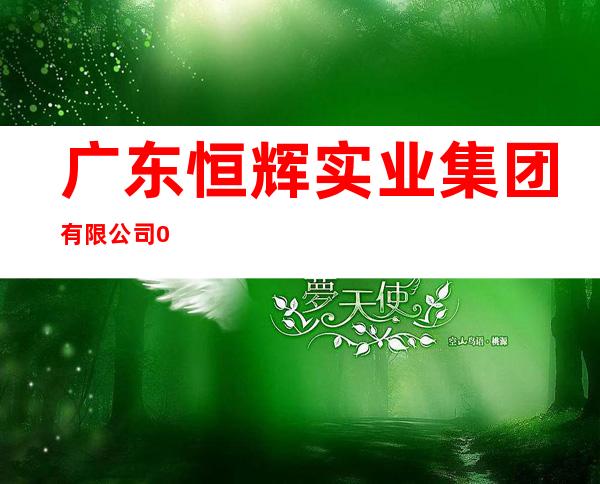 广东恒辉实业集团有限公司0