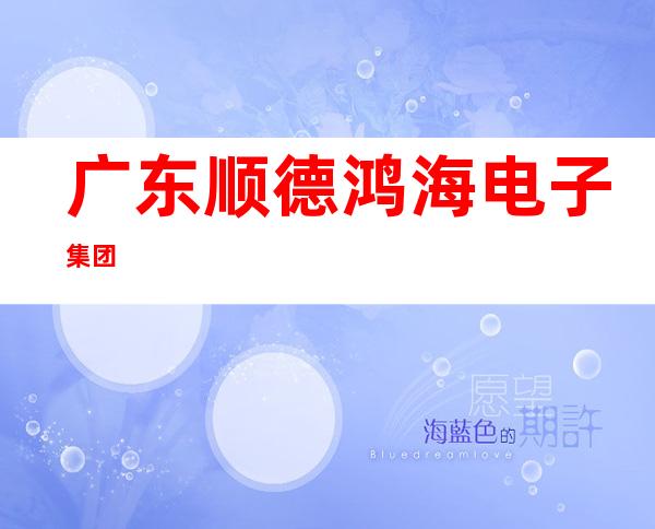 广东顺德鸿海电子集团