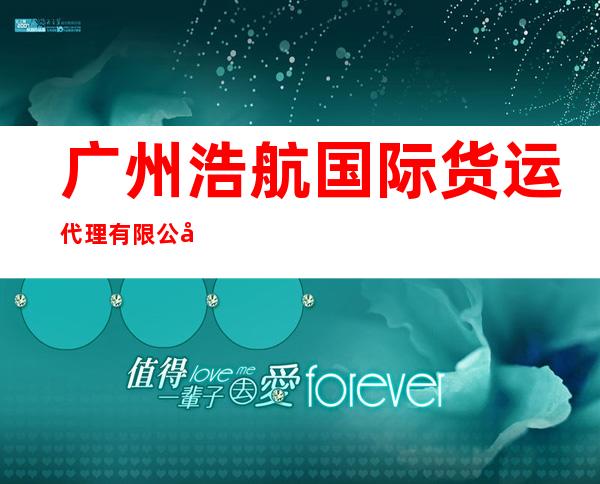 广州浩航国际货运代理有限公司深圳分公司