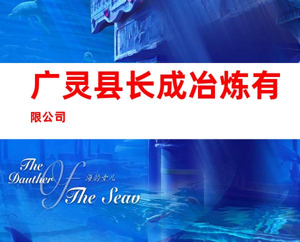 广灵县长成冶炼有限公司