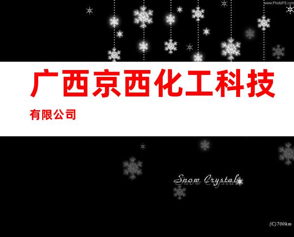 广西京西化工科技有限公司