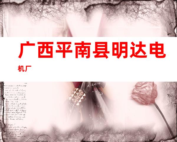 广西平南县明达电机厂