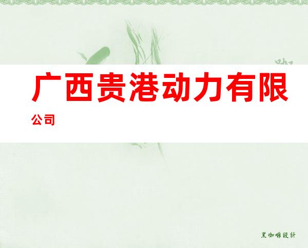 广西贵港动力有限公司