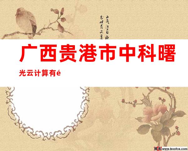 广西贵港市中科曙光云计算有限公司