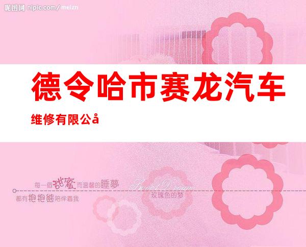 德令哈市赛龙汽车维修有限公司