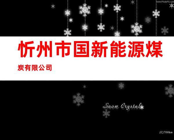 忻州市国新能源煤炭有限公司