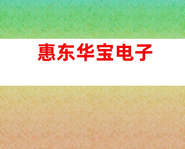 惠东华宝电子
