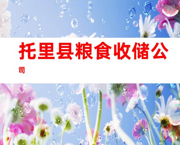 托里县粮食收储公司