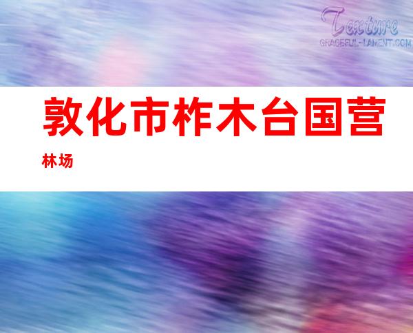 敦化市柞木台国营林场
