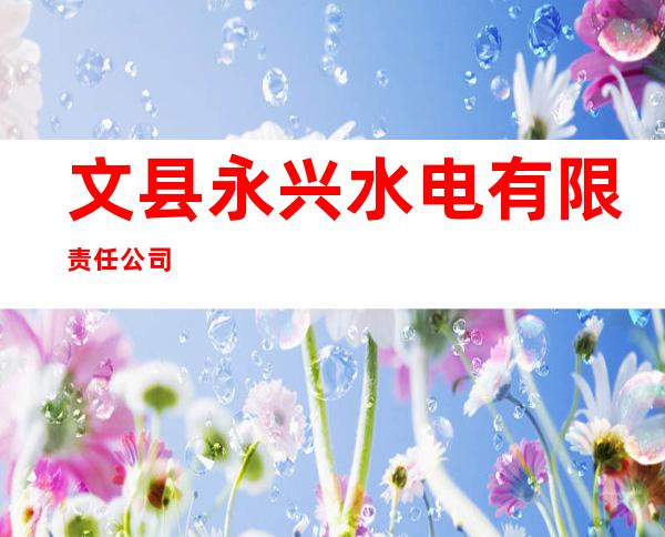 文县永兴水电有限责任公司