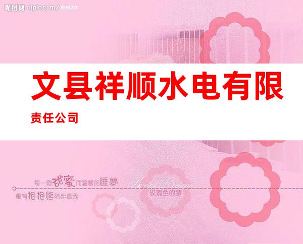 文县祥顺水电有限责任公司