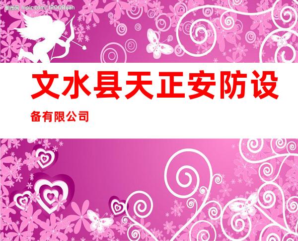 文水县天正安防设备有限公司
