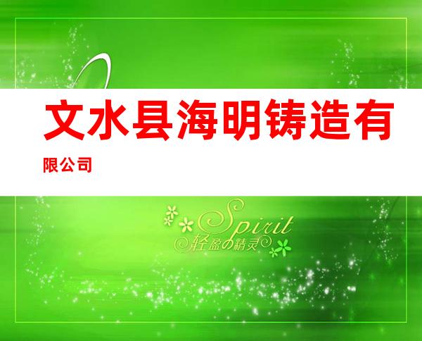 文水县海明铸造有限公司