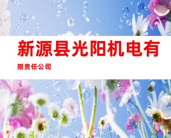 新源县光阳机电有限责任公司
