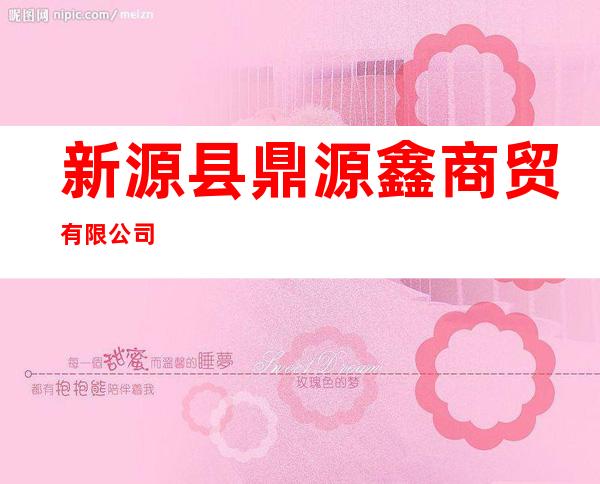 新源县鼎源鑫商贸有限公司