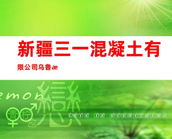 新疆三一混凝土有限公司乌鲁木齐二分公司