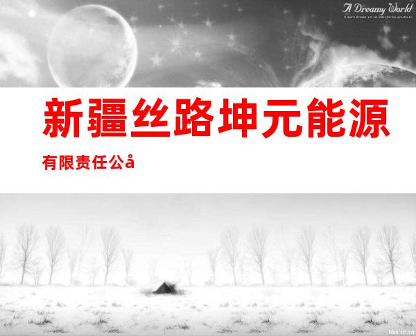 新疆丝路坤元能源有限责任公司