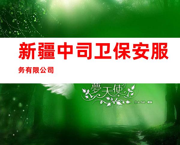 新疆中司卫保安服务有限公司