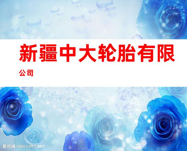 新疆中大轮胎有限公司