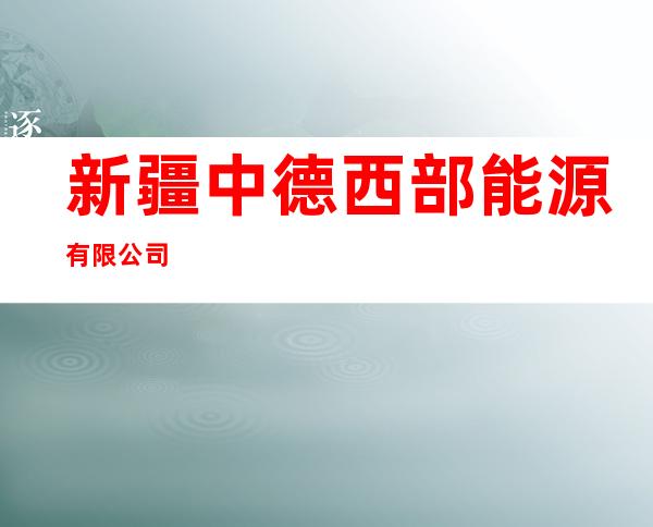 新疆中德西部能源有限公司