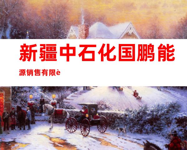 新疆中石化国鹏能源销售有限责任公司