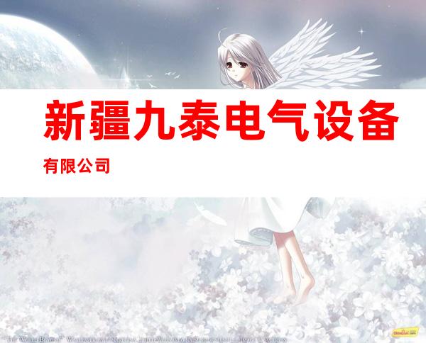 新疆九泰电气设备有限公司
