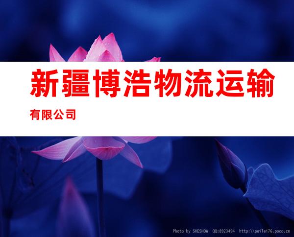 新疆博浩物流运输有限公司